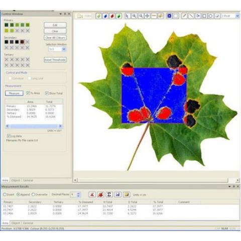 Software analisi immagini, patologia vegetale