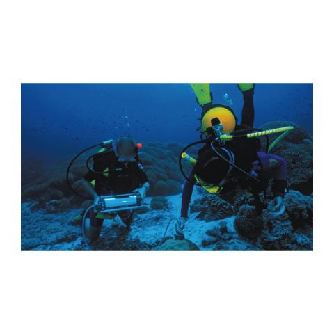 Underwater Fluorometer